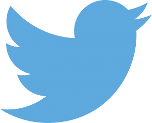 Twitter Inc (NYSE:TWTR), Blackstone Group L.P. (NYSE:BX), E-House (China) Holdings Limited (ADR) (NYSE:EJ), is twitter a good stock to buy, market bullish on twitter